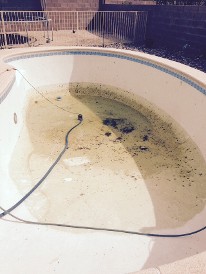 Pool Before Cleaning